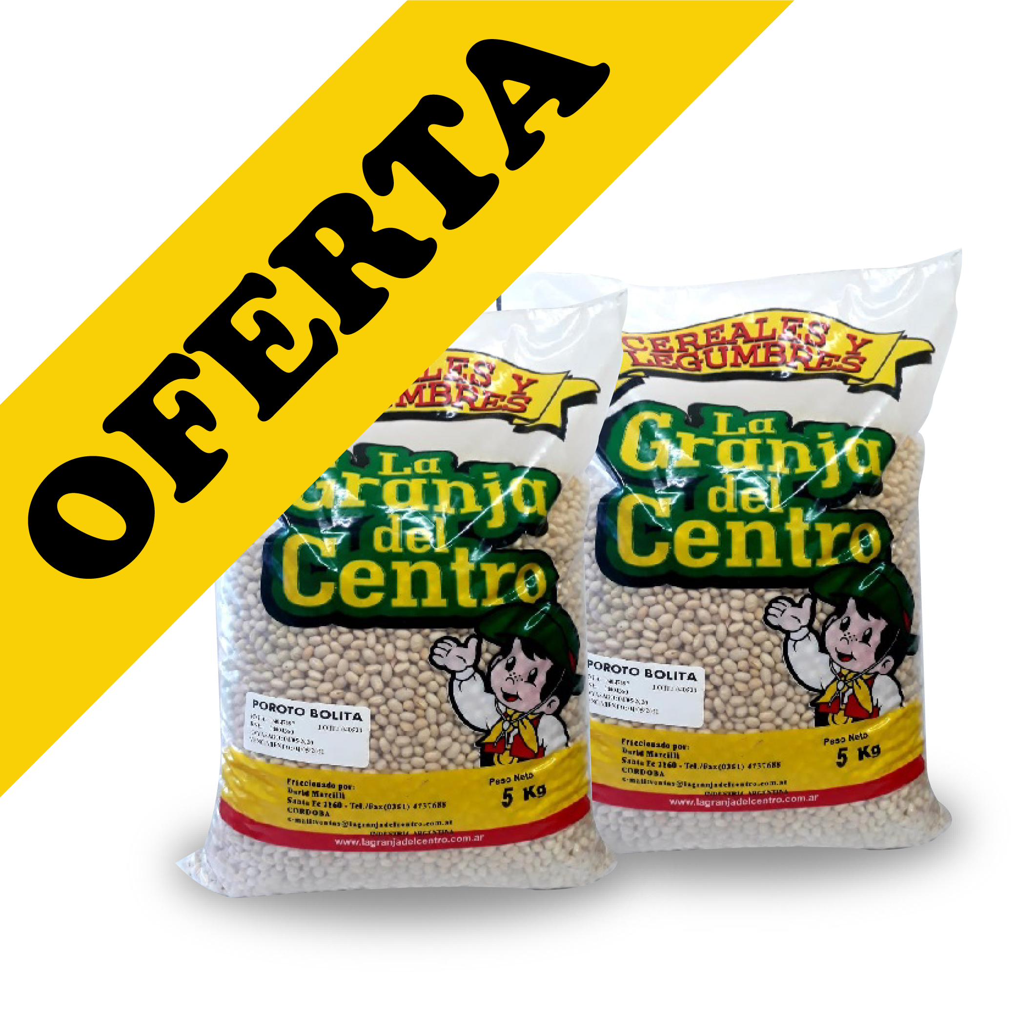 Harina de Arroz PROMO x 10 kg