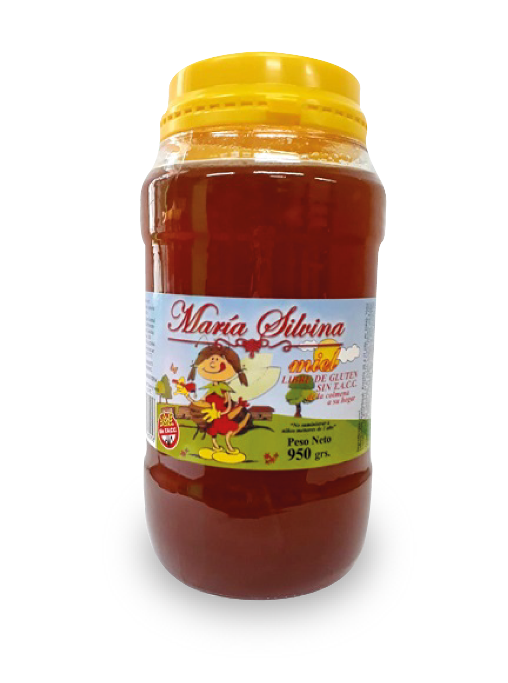 Las Brisas-Jugo Organico Arandano S/Azucar SIN TACC x 500 cc 
